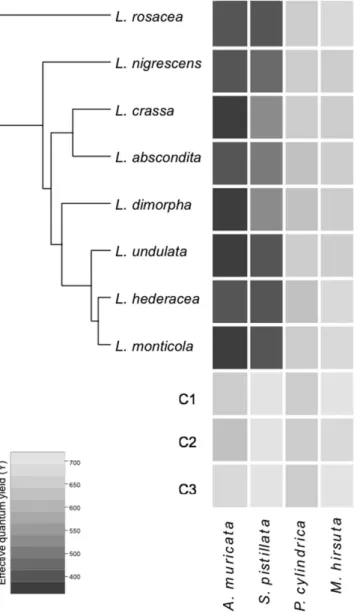 Figure 1.  Heatmap representation of the bioassay results of eight species of Lobophora, viz