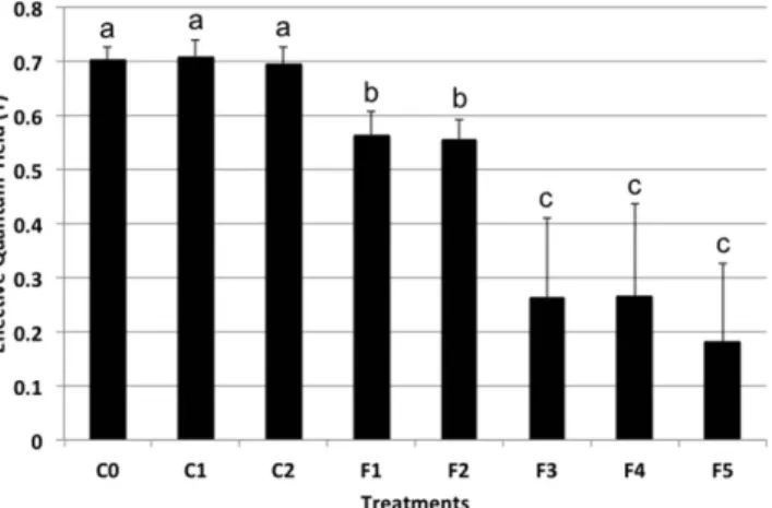 Figure 3.  Chemical structure of Compounds 1–3. Compound 1 (F3P13): (6Z,9Z,12Z,15Z)-nonadeca- (6Z,9Z,12Z,15Z)-nonadeca-1,6,9,12,15,18-hexaene-3,4-diol; Compound 2 (F3P10a):  (6Z,9Z,12Z,15Z)-nonadeca-6,9,12,15,18-pentaene-3,4-diol; Compound 3 (F3P11b): (6Z,