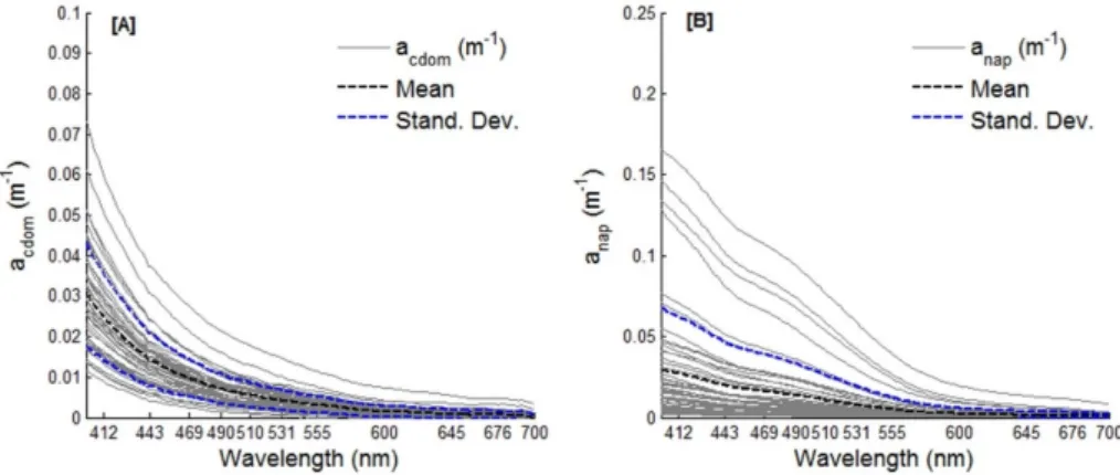 Figure 4. Phytoplankton absorption (a phy ) spectra (A) and specific phytoplankton absorption  coefficient (a phy *) at 443 nm versus the TChla, with the power law regression fit (solid line) and the  Bricaud et al