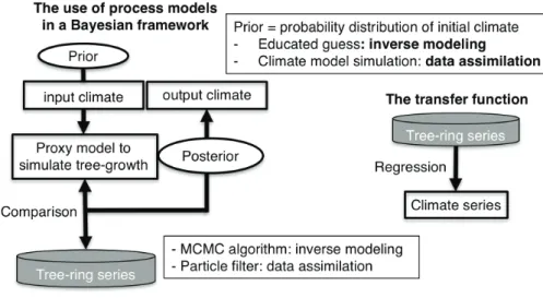 Figure 1: Diagram of the process-based approach and comparison with the standard transfer function