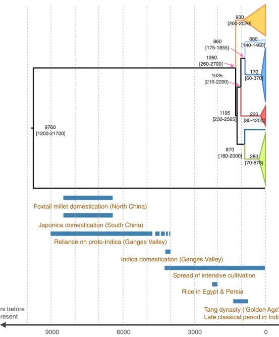 FIG 5 Tip-calibrated genealogy inferred by maximum-likelihood phylogenetic inference using Beast 1.8.2, based on single- single-nucleotide variations in 50 M