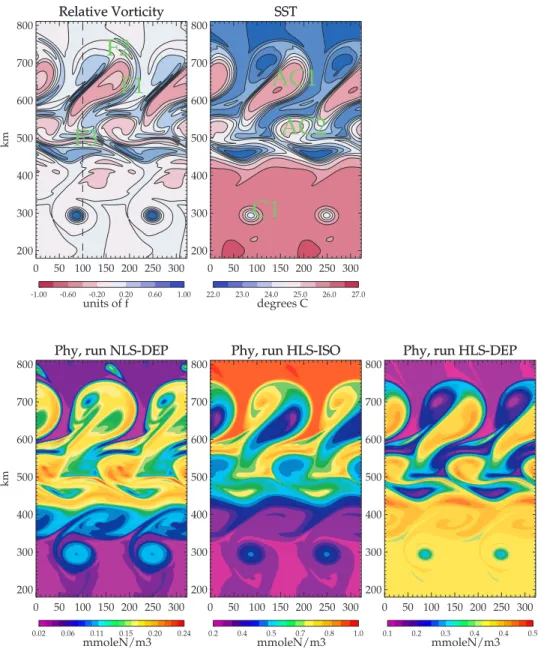 Figure 1. Model snapshots at day 42. For clarity and taking advantage of the zonal periodicity the domain is artificially doubled in length in its zonal direction