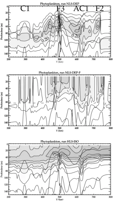 Figure 7. North-south vertical section of phytoplankton (grey shading) along x = 100 km (snapshot at day 42) and for the first 150 m