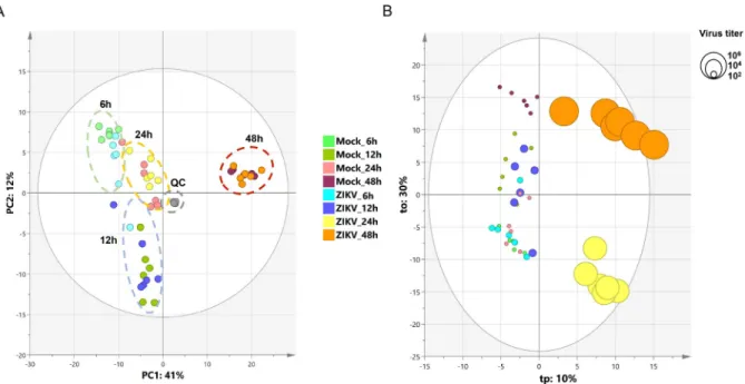 Fig 4. Principal component analysis and orthogonal projection to latent structure regression