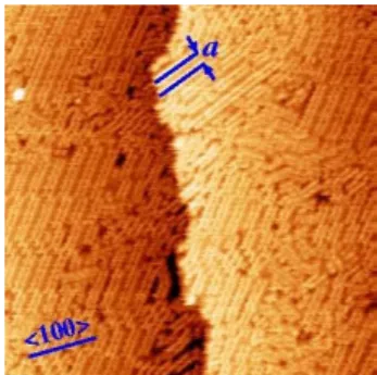 Figure 3. STM image (77 nm  = - 1.5 V) of one ML of Vls deposited at  RT and annealed up to 100°C
