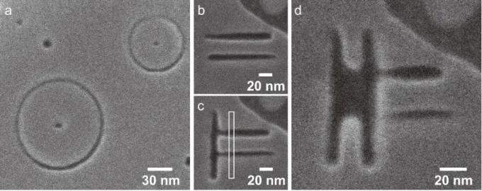 Figure  1.  (a)  An  HIM  image  of  two  Au(111)  nano  circles  nanofabricated  using  the  same  focused He +  beam with an 1×10 19  ions/cm 2  irradiation dose on a 100 nm thick Au(111) layer  deposited  on  an  atomically  flat  sapphire  sample  surf