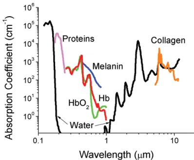 Figure  5:  Absorbance  of  various  tissue  and  blood  components  from  200  nm  to  10  µm