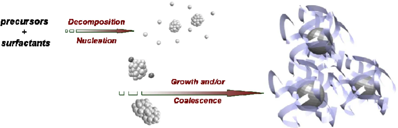 Figure 1. Schematic view of the general mechanism driving chemical NP synthesis. 