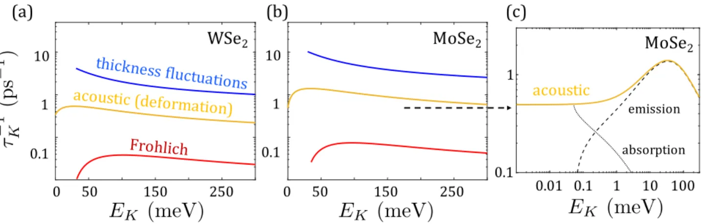 FIG. 5: Scattering rates in ML-WSe 2 (a) and ML-MoSe 2 (b) at T=5 K as a function of the exciton kinetic energy, E K 
