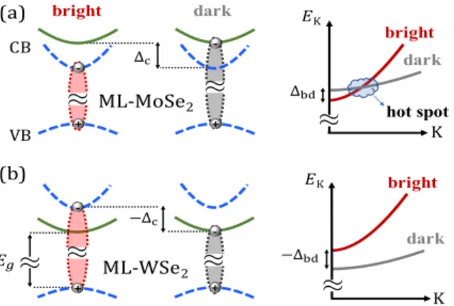 Figure 2 shows four steps in the low-temperature en- en-ergy relaxation of hot excitons that are introduced at t = 0 with three different initial kinetic energies