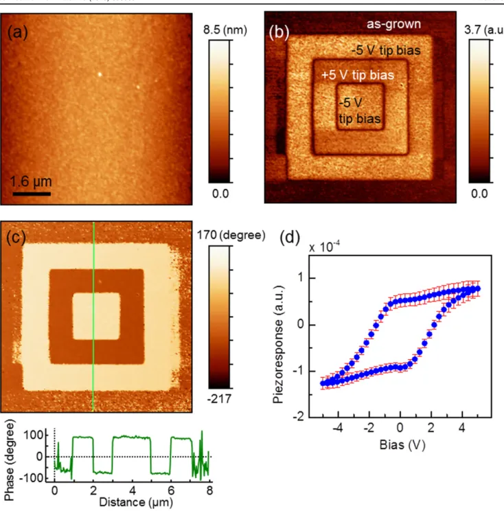 Figure 7. (a) Atomic force microscopy topography and piezoresponse force microscopy (b) amplitude and (c) phase images for 17 nm thick BaTiO 3 /SrTiO 3 (∼4 nm) on Si substrate, poled with −5 V, +5 V, and −5 V over 6 μm, 4 μm, and 2 μm regions, respectively