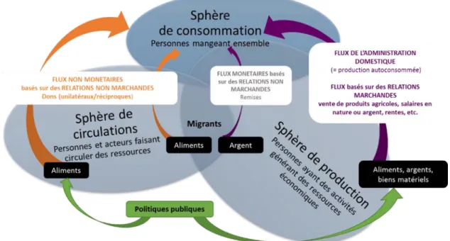 Fig. 1. Schematic ﬁ gure of the conceptual and analytical framework of the SALIMA project in Nicaragua.