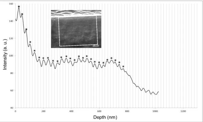 Fig. S3. Analysis of the image in Fig. 3A: Intensity profile as a function of depth from the  interface with  the exterior