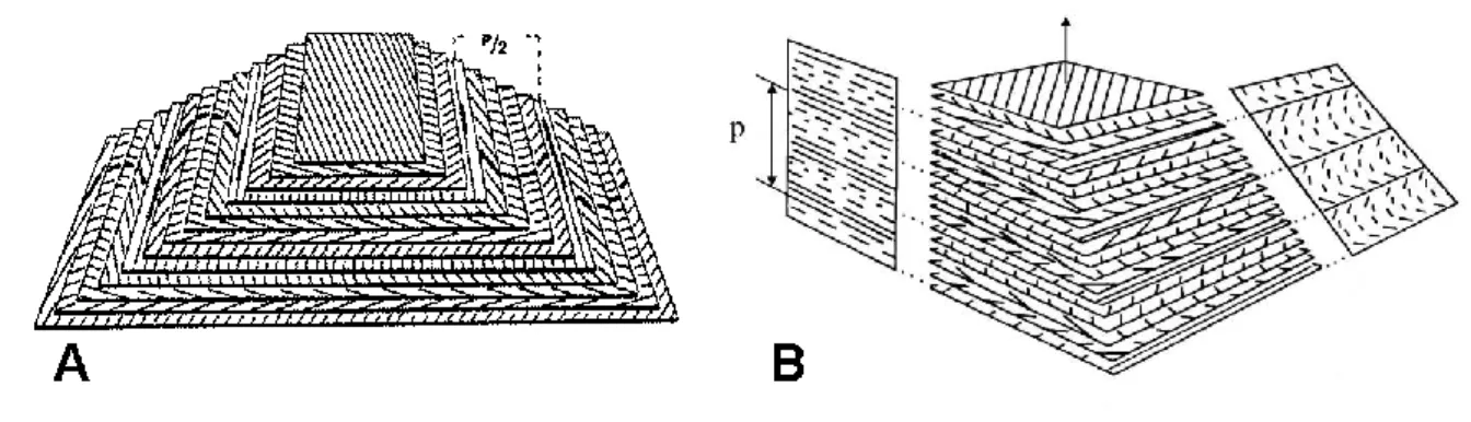 Fig.  S8.  The  twisted  plywood  model.  (A)  Superimposed  cards  represent  equidistant  and  parallel planes forming a pyramidal model