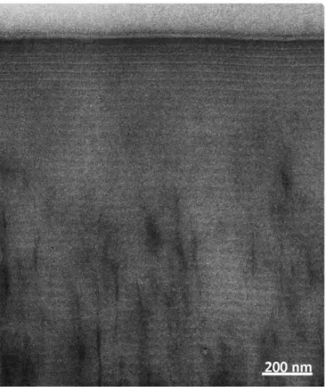 Fig. S9. Cross-section of wax in the green band as observed by TEM when the slice is cut  at an oblique incidence equal to 10° (stained cut)