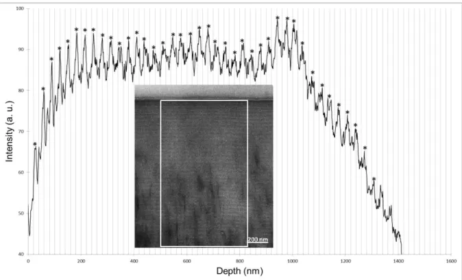 Fig. S10. Analysis of the image in Fig. S9: Intensity profile as a function of depth from the  interface with  the exterior