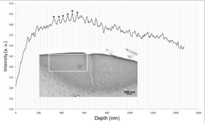 Fig. S12. Analysis of the image in Fig. S11: Intensity profile as a function of depth from the  interface  with  the  exterior