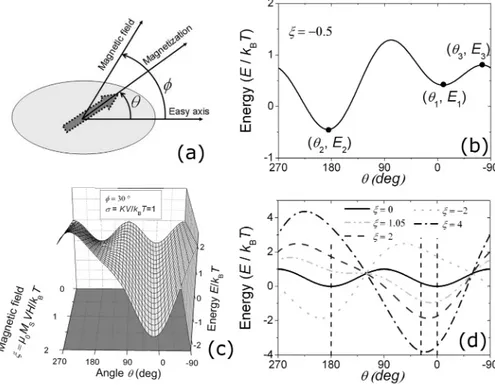 FIG. 1. (a) Schematic representation of a uniax- uniax-ial single-domain MNP. The large arrow  repre-sents the magnetization