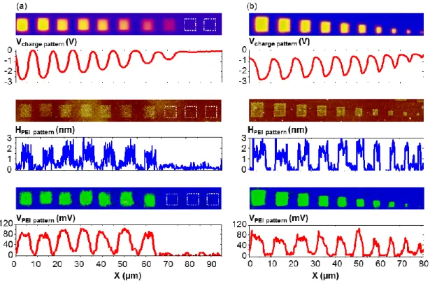 Figure  5.  Fabrication  of  PEI  patterns  by  AFM  nanoxerography  using  charge  patterns  of  (a)  decreasing  surface  potentials  and  (b)  decreasing  lateral  sizes  (from  the  left  to  the  right)