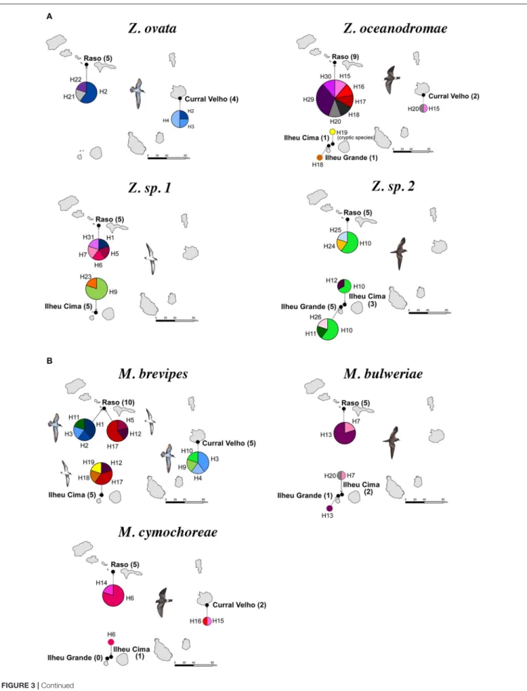 FIGURE 3 | Continued