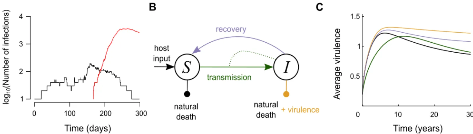Fig 2. Combining the epidemiology and evolution of infectious diseases. (A) Evolutionary rescue of a parasite population via mutation, (B) representation of the SI epidemiological model, and (C) virulence evolution in response to different types of interve