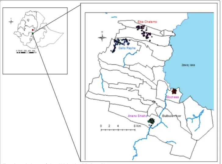 Fig. 1  Geographic location of selected kebeles, Adami Tullu district, Ethiopia