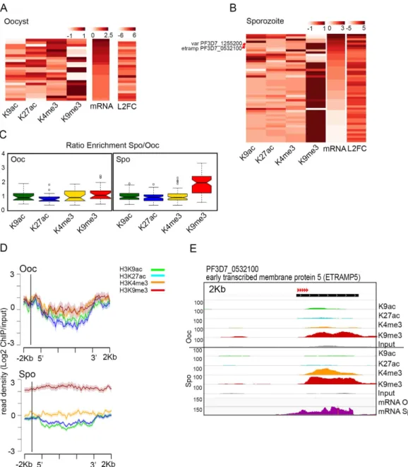 Figure 2.  A subset of genes containing H3K9me3 are expressed during P. falciparum sporogonic  development