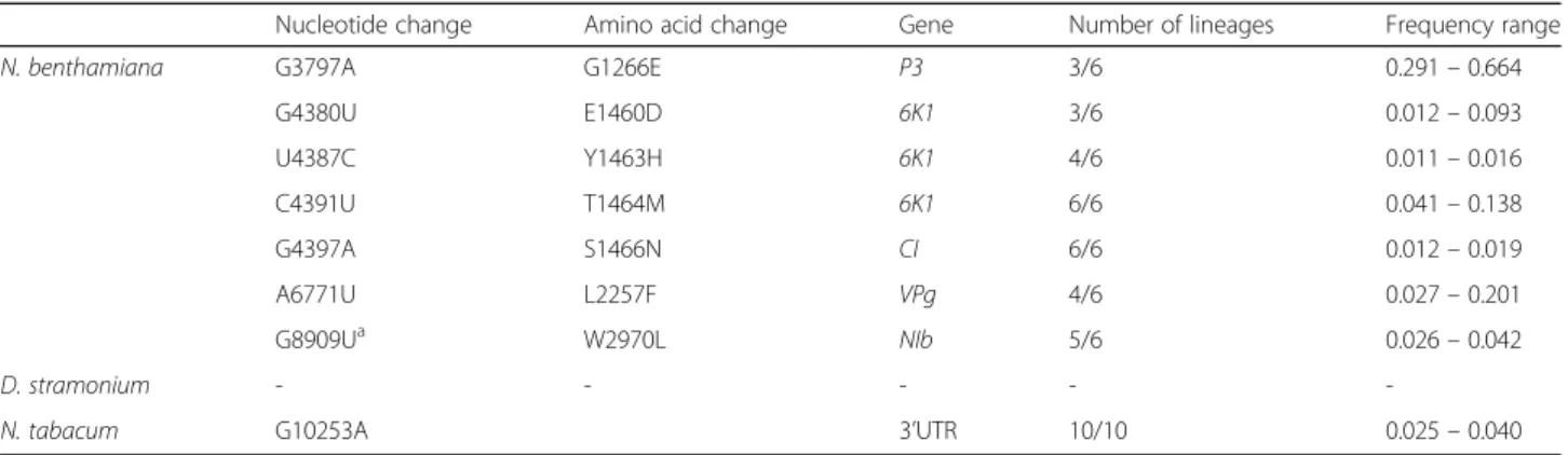 Fig. 4 Virus accumulation of the evolved and ancestral lineages. Virus accumulation, as determined by accumulation experiments and RT-qPCR at 10 dpi, of TEV, the ancestral TEV-eGFP, and the evolved TEV-eGFP lineages in N