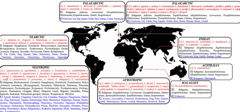 Fig 3. Geographical distributions of various Leishmania spp.; sandflies and animal reservoirs in the Old and New World
