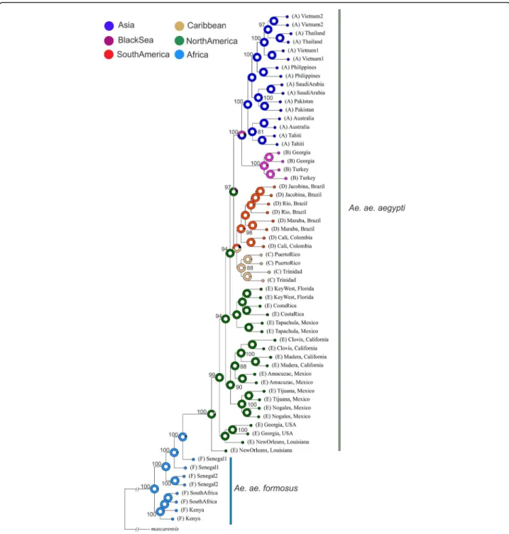 Figure 8 shows the scenarios tested for the diaspora of Ae.