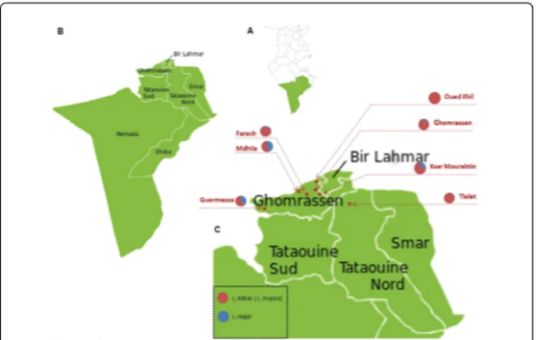 Figure 1: Geographical localization of samples. A: Map of Tunisia, with  Tataouine  governorate  highlighted  in  green;  B:  Districts  of Tataouine governorate; C: Localization of the samples; villages are indicated with red asterisks