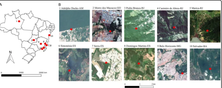 Fig. 3 Ae. albopictus sampling sites at ten urban-forest interfaces in Brazil. a Localization of the ten sites in Brazil; b Satellite images showing each sampling site as a red dot