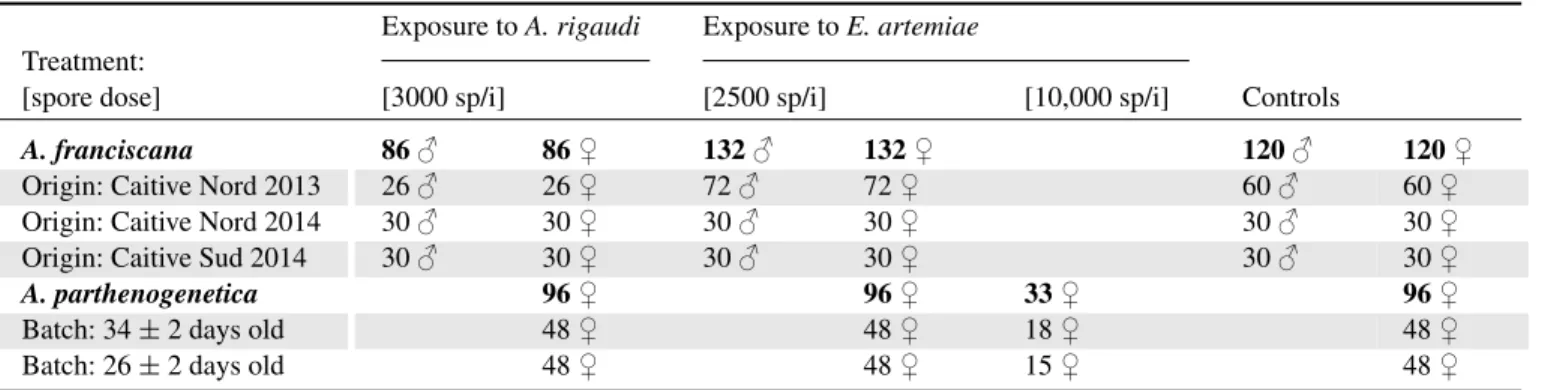 Table 1. Number of replicates for the different treatments in Experiment 2.