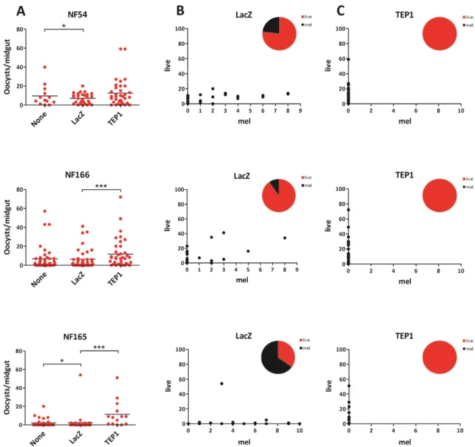 Figure 2.  Effect of wounding and of TEP1 silencing on development of P. falciparum (NF54, NF166 and  NF165 439 strains) in A