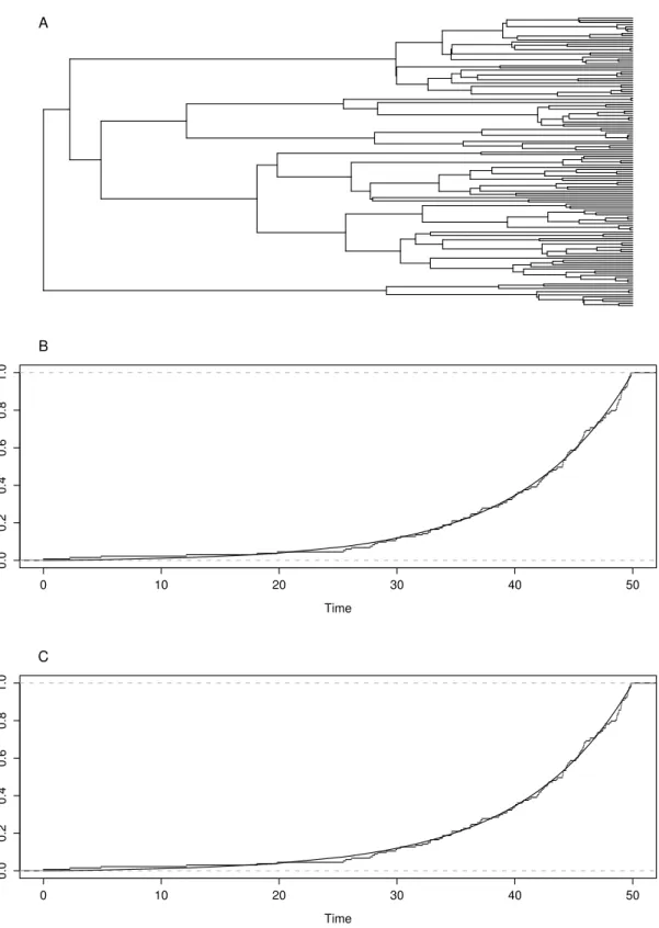 Figure 4. (A) A tree simulated with constant parameters λ = 0.13 and µ = 0.05 (N = 134)