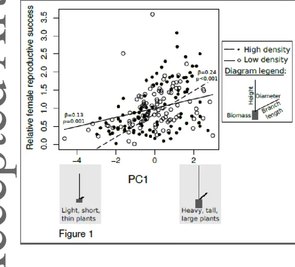 Figure  1.  Effect  of  morphological  variables  (through  PC1  scores)  on  female  reproductive  success of M