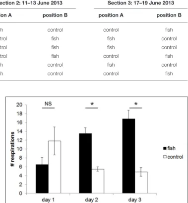 TABLE 1 | Chronological sequence of stimuli presentation (position for fish/control changed randomly between sessions).