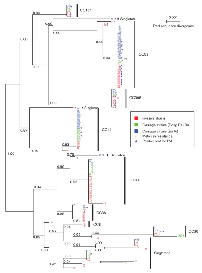 Fig. 1. Maximum-likelihood phylogenetic tree for the 162 samples with full datasets. Samples labelled in blue are carriage strains from rural Ba Vi and in green are from urban Dong Da; samples labelled in red are invasive hospital strains.