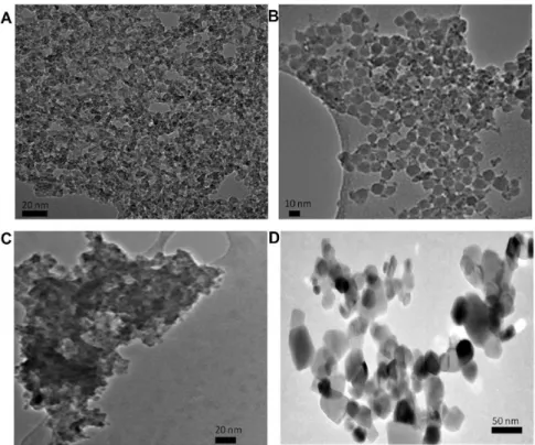 Figure 3.  TEM images of TiO 2  NP. (A) pristine; (B) Silica coated; (C) citrate coated; (D) P25.