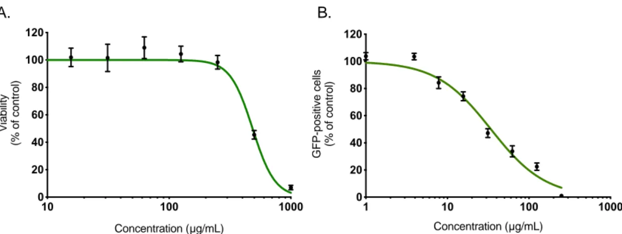 Figure 1. A. triplinervis essential oil (EO) exerts an antiviral activity  against Zika virus (ZIKV)