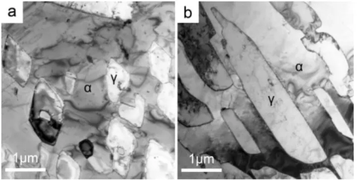 Fig.  1  Cross-sectional  profiles  of  austenite  precipitates  (γ)  in  ferrite  matrix  (α):  (a)  rod-shaped austenite and (b) lath-shaped austenite