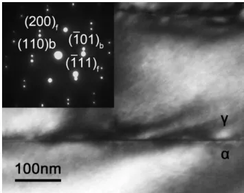 Fig. 4 The geometry between the edge-on habit plane and   g (200)f  g (200)f  g (110) b &amp;