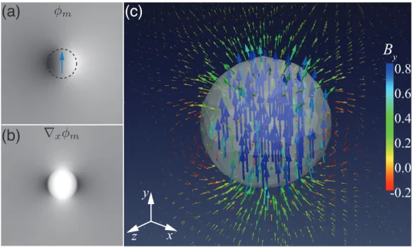 Figure 1: (a) shows the magnetic phase shift image of a uniformly magnetized spherical nanoparticle, indicated by the dashed line, and magnetization vector is indicated by the blue arrow, (b) the derivative of the magnetic phase shift with respect to x sho