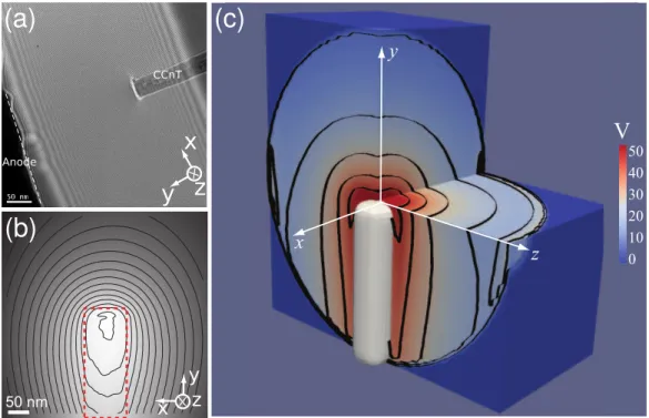 Figure 4: (a) shows the as acquired interference hologram, which shows the positions of the CCnT and the anode