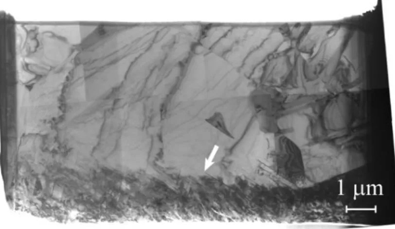 Fig. 2. TEM image of an entire thin foil extracted by FIB from a well recrystallized TiAl sample