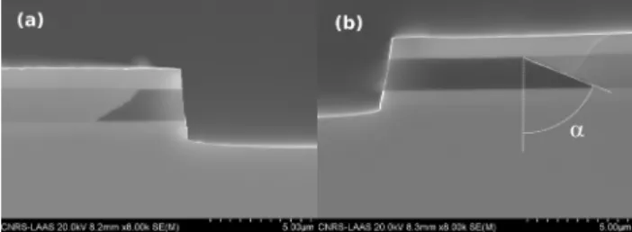 FIG. 1. SEM images of 2 samples, respectively, oxidized during 5 min (a) and 30 min (b)
