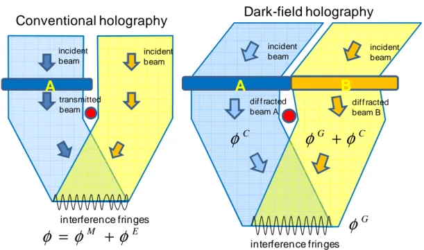 Figure 1. Schematic representation of conventional off-axis holography (left) and dark- dark-field electron holography (right)