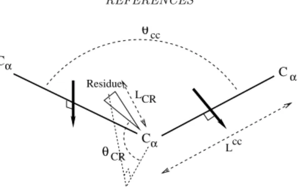 Figure 1. Model of amino-acid. The orientation of the CO − N H plane is described by a spin perpendicular to the C α C α bond.