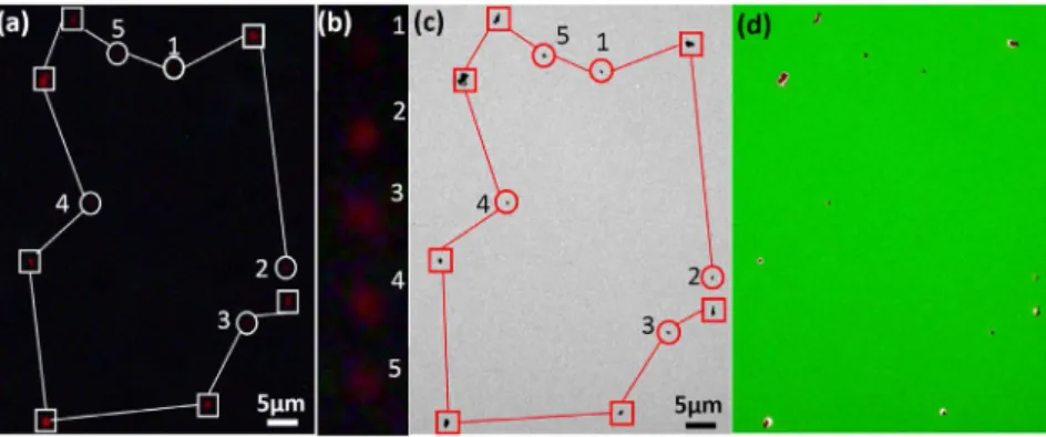 Figure 4 | Imaging results of the Y 2 O 2 S:Eu nanoparticles. (a) A time-gated image shows a pattern of luminescence spots