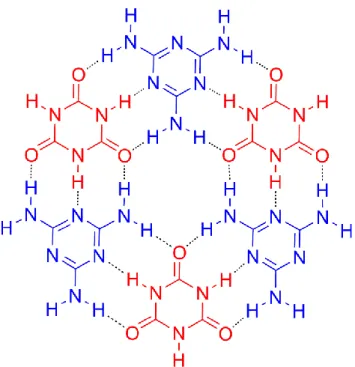 Figure 2. Hexameric motif constituting the CA-M binary network stabilized by H-bonding